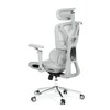 Kancelářská židle, synchronní mechanismus, šedá síťovina, KA-B2363 GREY