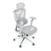 Kancelářská židle, synchronní mechanismus, šedá síťovina, KA-B2363 GREY
