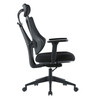 Kancelářská židle, synchronní mechanismus, černá síťovina, KA-H3245 BK