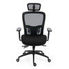 Kancelářská židle, asynchronní mechanismus, černá síťovina, KA-H2491 BK